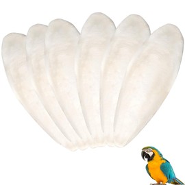 Demarsen Pack of 6 Sepia Bowls, Squid Sepia Bone, Bird Sepia Bowl Toy for Parrots, Turtles, Birds, Snails, Reptiles, Training, Chewing, Molar Toy