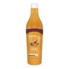 Curcuma Concentrado Con Pulpa D Fruta 400ml Shelo Nabel S621