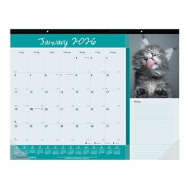 Blueline® 2026 Monthly Desk Pad Calendar, 12 Months, January to December, 22" x 17", Furry Collection (C194115-26)