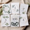 Baby Monthly Cards Green Age Cards
