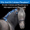 SU-PER SU-PER Di-Calcium Phosphate Horse Minerals - Calcium & Phosphorus
