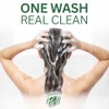 Prell Classic Clean Shampoo, 13.5oz Each
