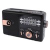 Dpofirs Retro AM FM SW Portable Radio with Bluetooth Speaker,USB