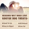 Gootoe Turkey Tendons for Dogs –All-Natural, Hypoallergenic Dog Treats, Rawhide