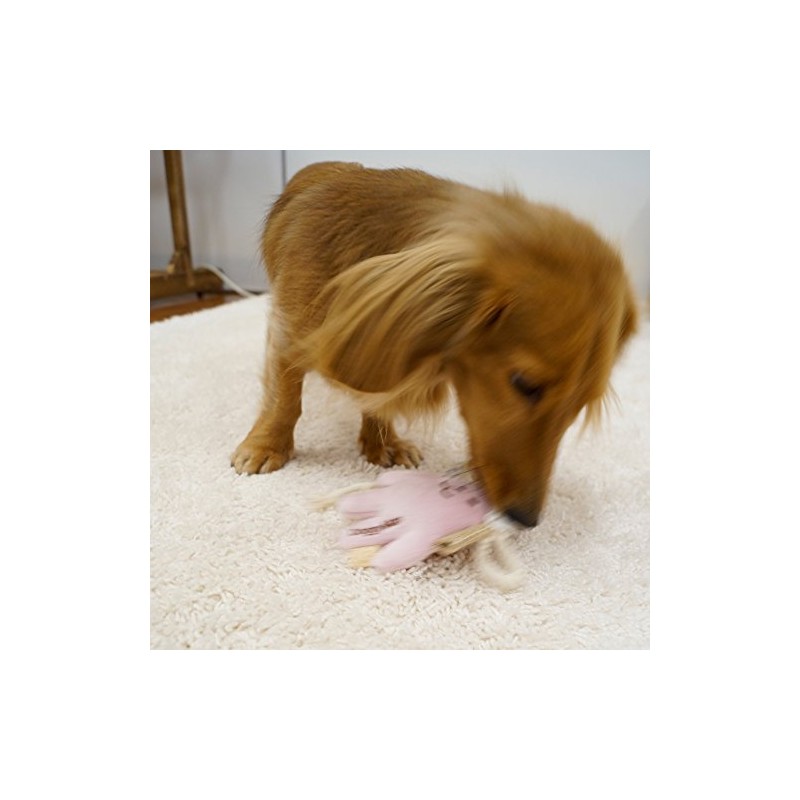 ドギーマン デコフル ウサちゃん