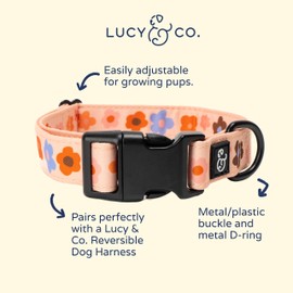 Lucy & Co. Let's Groove Dog Collar - Durable Lightweight Designer Collar for Pets - Adjustable Metal Safety Buckle - Purple Coral Floral - Small