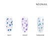 NEONAIL Nail Art Flowers Set - Dried Flowers - Nail