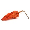 Ghost Pepper - Bhut Jolokia - Powder - 7.5 Oz