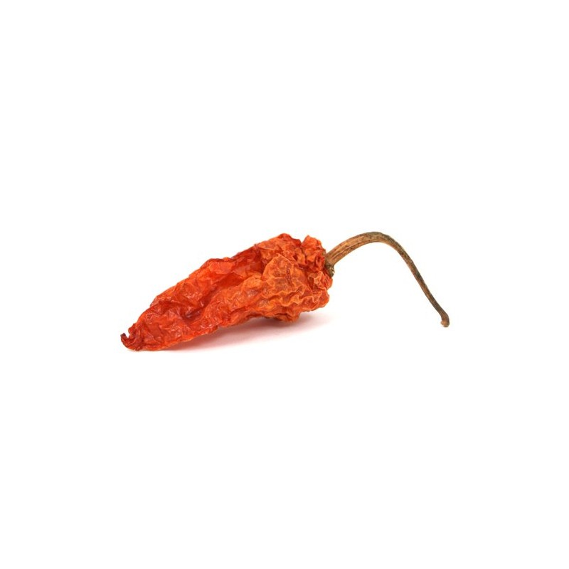 Ghost Pepper - Bhut Jolokia - Powder - 7.5 Oz
