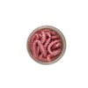Berkley Powerbait Honey Worms for 2020 (Pink Garlic)