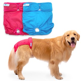Paw Inspired Washable Dog Diapers (2 Pack) | Reusable Cloth Doggy Diapers for Female Small, Medium, Large Size Dogs (Pink and Blue Colors with White Lining, Size XL)