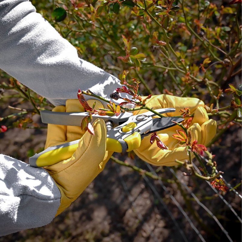 Praknu Leather Rose Gloves – German & Protective Gardening Gloves
