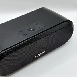 WSTER WS-820 Bluetooth Replica Speaker – Wireless Portable Home Audio Speakers with HD Sound, 40W Output, TWS Pairing, FM, USB/TF Playback, Built-in Microphone, Gifts for Home/Party (Black)