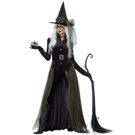 California Costumes Women's Cool Witch Costume X-Small Black