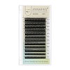 ANNAFRIS Eyelash Extension 2Tips 5D WW Lash Extension 0.07 D