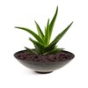 matches21 Round flat planting bowl planter flower bowl plastic bowl