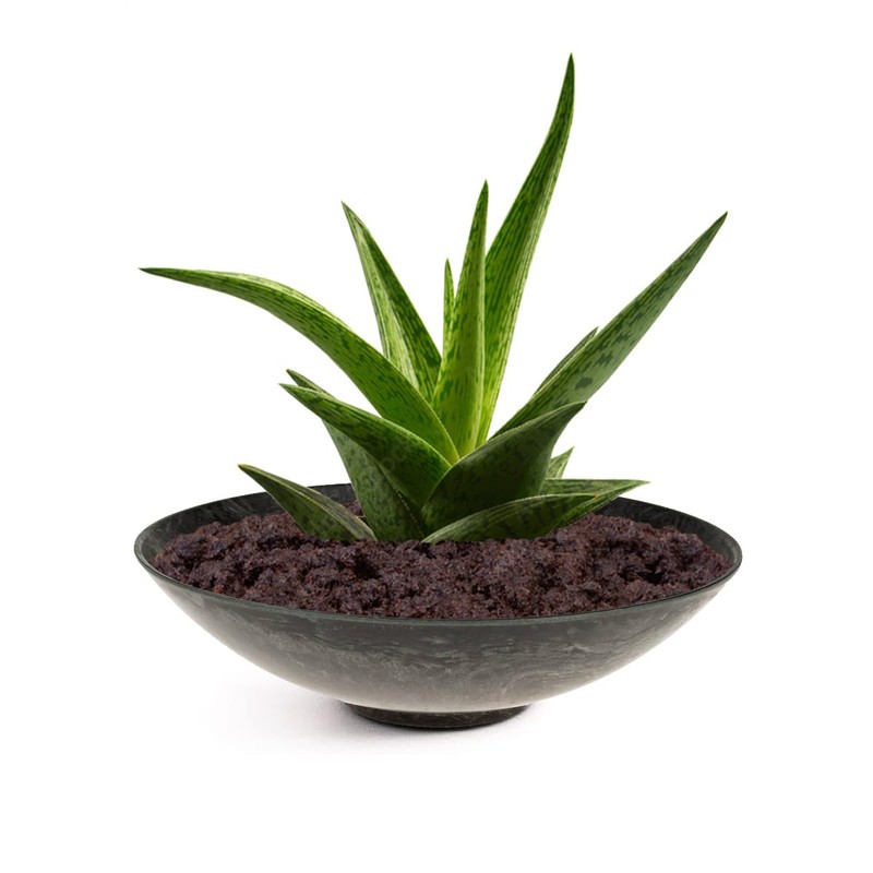 matches21 Round flat planting bowl planter flower bowl plastic bowl