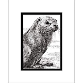 River Otter, Limited Edition, Matted Pen and Ink Print