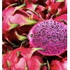 Leap Natural Dried Red Dragon Fruit 8oz