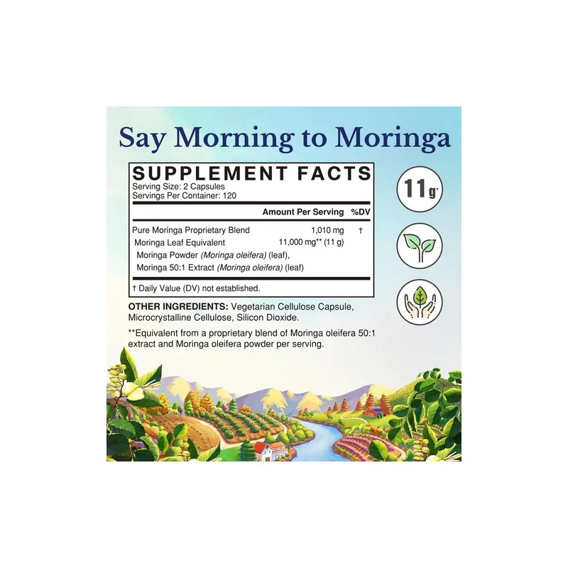 Vitalitown Moringa 11000 Mg 240 Cápsulas