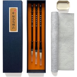 Chinese Calligraphy Brush Set Kits for Beginners, No Ink Calligraphy Practice Paper, Water Writing Cloth Paper, Chinese Calligraphy Brushes and Water Dish (Blue)