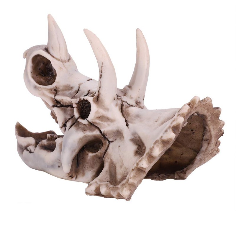 Dinosaur Triceratops Skull Model, Simulated Skeleton Think Dinosaur Statue Decorations