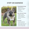 Furfect City Step in Dog Harness, No Pull No Choke,