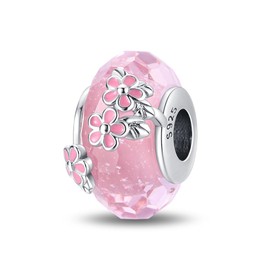 Pandach Women's Charm Pendant for Bracelet, 925 Sterling Silver Charms Beads Fits Bracelet and Necklace, Compatible with European Bracelets for Women Girls C17, Sterling Silver