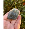 GAF TREASURES Wholesale Raw Tree Agate Crystals, Natural Tree Agate,