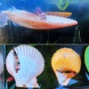 KFPSHLQE 7 Pack Seashells Betta Hammock,Betta Bed Resting Spot,Fish Tank