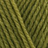 Stylecraft Special DK 100g (Mistletoe 2180)