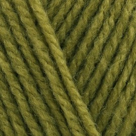 Stylecraft Special DK 100g (Mistletoe 2180)