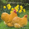 Chickens 2024 - Brochure Calendar 30 x 30 cm (30