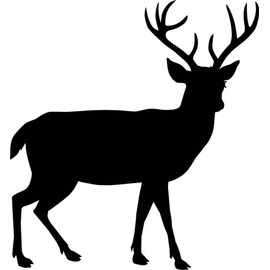 Wall Decal Deer Hunting Buck Doe Moose Cowboy Cowgirl Rodeo Horse Bull Ster Roper Holiday Gift Decorating Ideas Sticker - Size: 40 Inches X 50 Inches