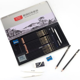Nyoni Sketch Pencil Set for Artist, Beginner, Student with Metal Case Graphite Charcoal Drawing Supplies