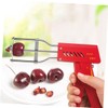 LABRIMP Stainless Steel Fruit Corer Tool Portable Core Remover for