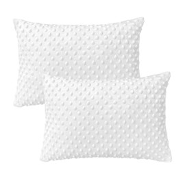 Pillowcase for Toddler Pillow Kids Pillow Travel Pillows 13 x 18 Inches - Zipper Closure - Made in USA (No. 3, White Minky)