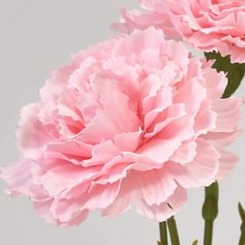 Tokyodo Artificial Flowers MAGIQ Louis Carnation Pick, Pink, Artificial Flowers, FM002568-002, Carnation, Flower Diameter 2.6 inches (6.5 mm) x Length Approx. 9.8 inches (25 cm)