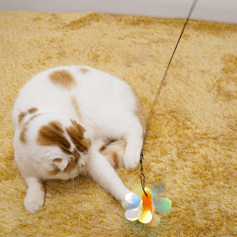 CattyMan Gleaming Cats Replacement for Your Favorite Cat