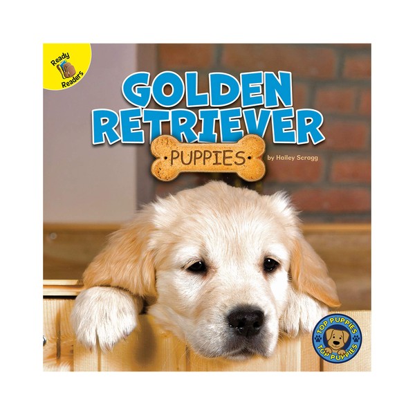 Golden Retriever Puppies (Top Puppies)