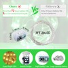 chzk 8 Pack Green Fairy Lights 7Ft 20 LED Twinkle