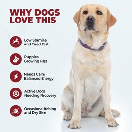 Marine Phytoplankton for Dogs – Strength, Growth & Calm Energy Support – Puppy Development, Muscle Recovery & Vitality for All Breeds – Pure Microalgae Powder (3.5 oz / 100 g)