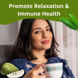 Hanan Soursop Tea Bags 100% Natural Hojas de Guanabana Leaves Graviola Tea from Peru