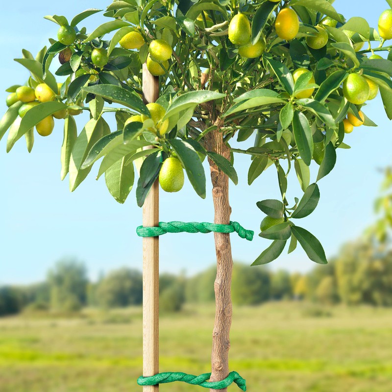 Tree tie 10m with Foamed Rubber Surface