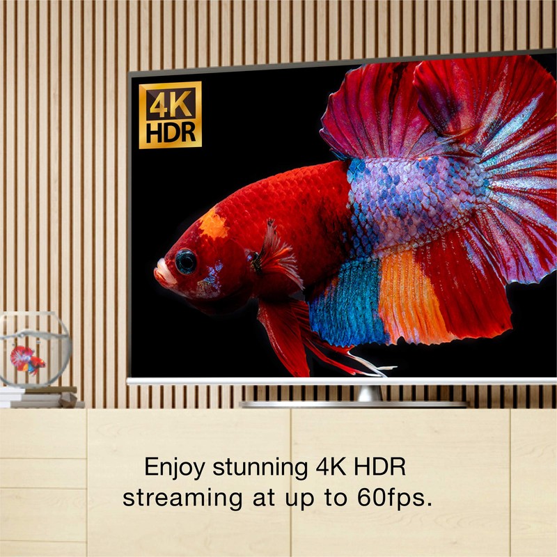 EZCast Ultra U1-4K / HDR Display Receiver