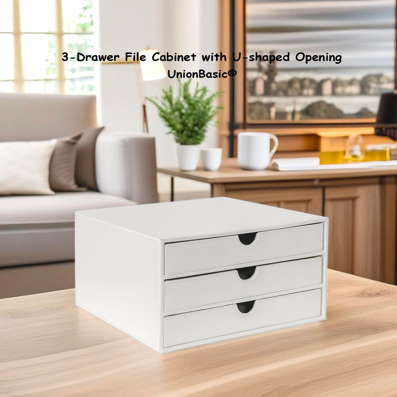 UnionBasic Document Organizer, 3-Drawer File Cabinet Document Storage Box, Office