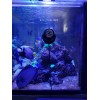 Ecotech Marine Vortech MP40 3D Printed Dry Side Support Mount