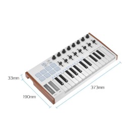 Unbranded WORLDE 25 Key USB MIDI Keyboard Controller With 8 RGB Backlit Drum Pads AXTF