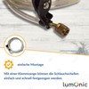Lumonic I 20 x 1-Ear Clamps 7.3-9.0 mm I V2A