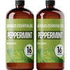 Lab Bulks Essential Oil Peppermint Essential Oil (16 oz, 2